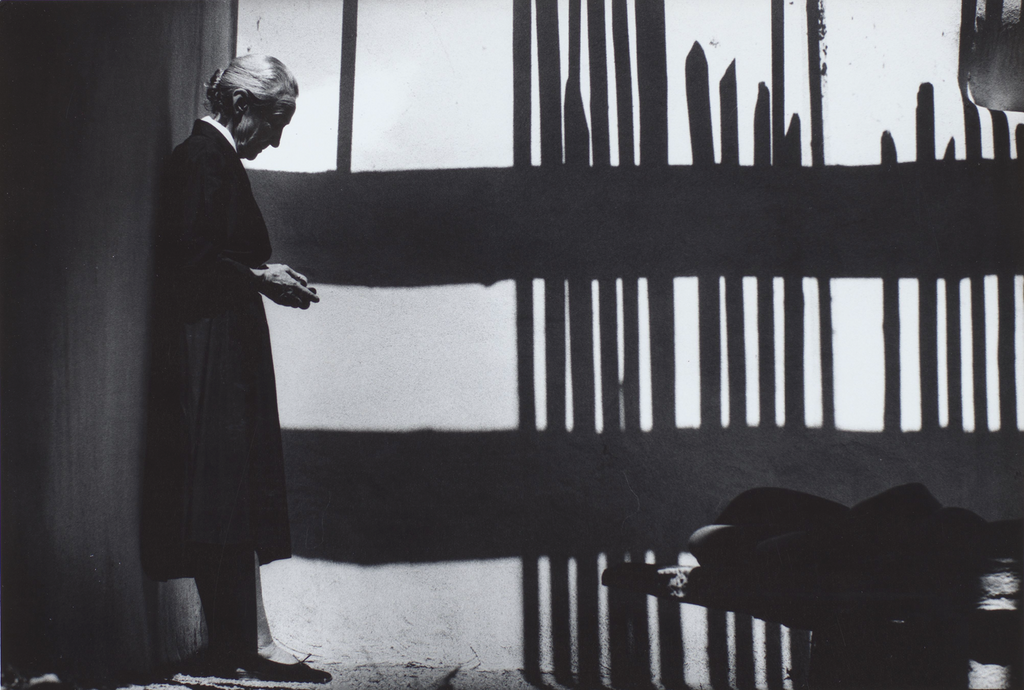 GEORGIA O'KEEFFE: IN NEW LIGHT