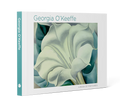 GEORGIA O'KEEFFE PAINTINGS POSTCARD BOOK