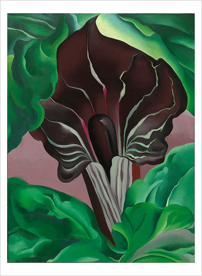 GEORGIA O'KEEFFE ABSTRACTION POSTCARD BOOK