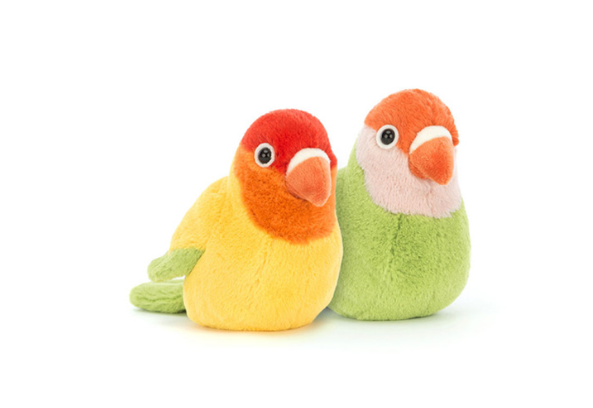 A PAIR OF LOVELY BIRDS