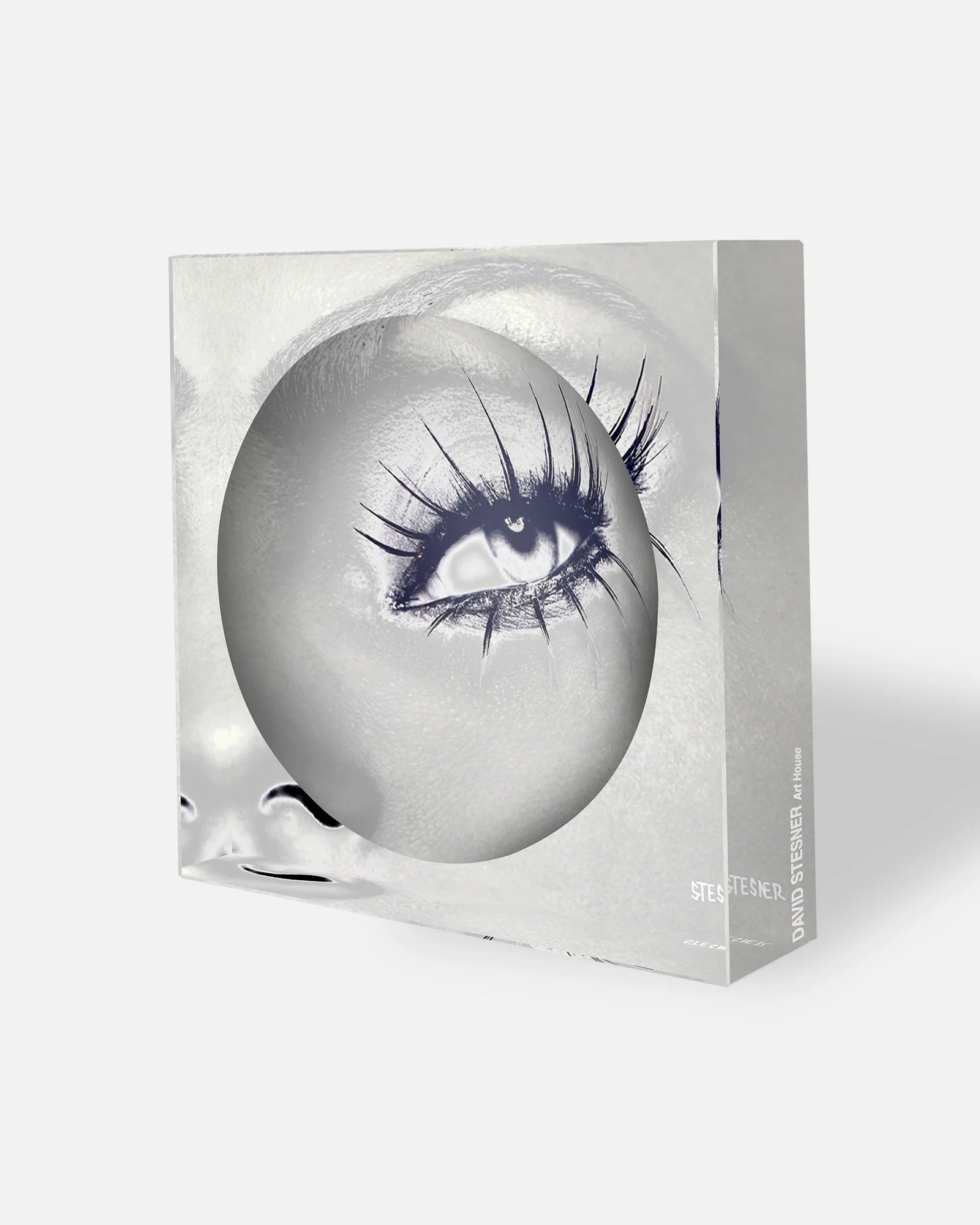 VELVET LASH DISH