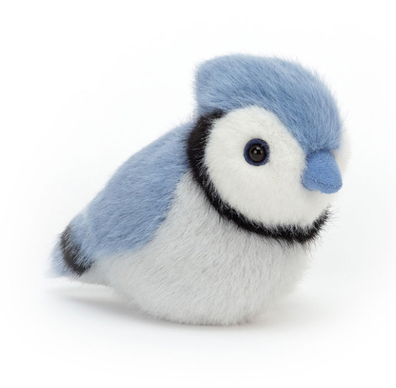 BIRDLING BLUE JAY