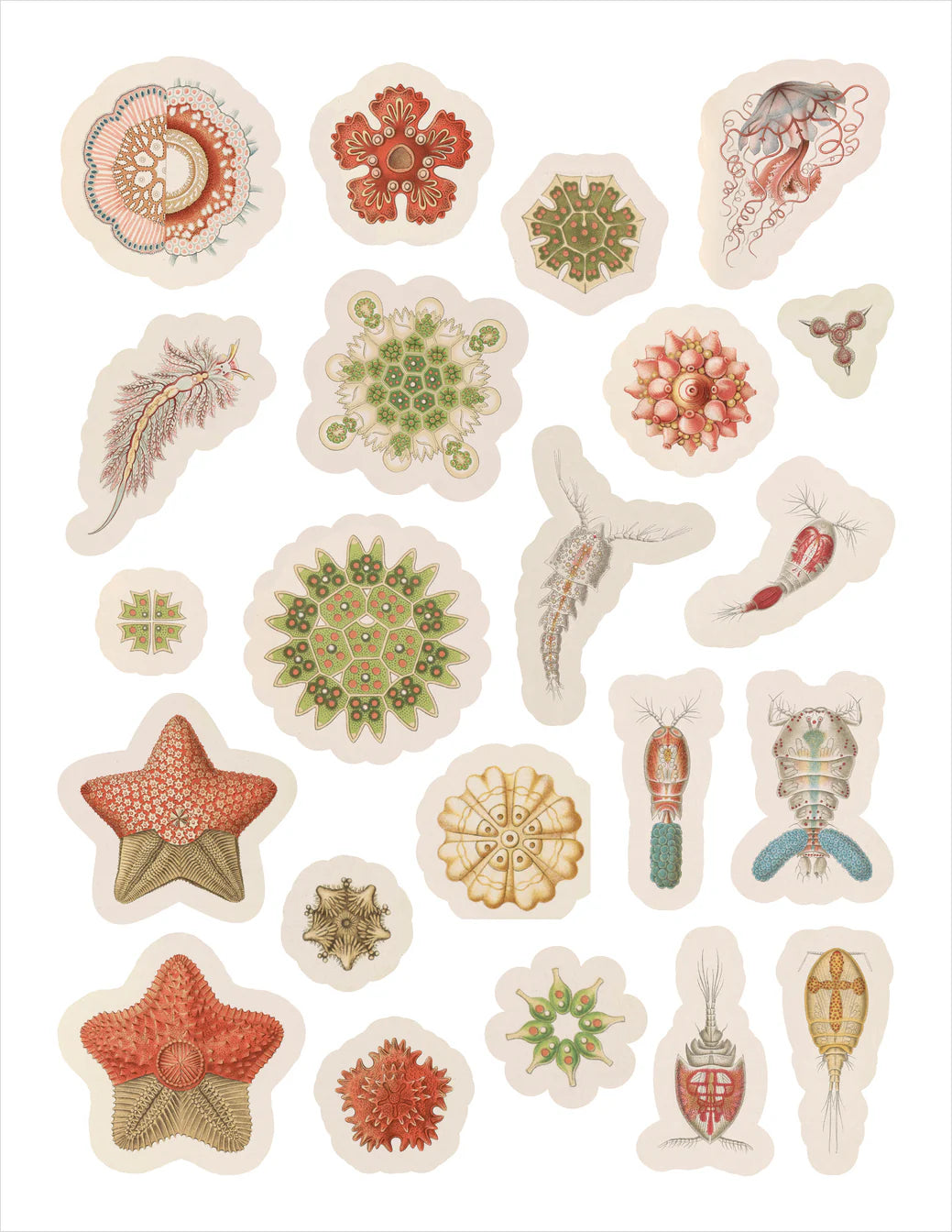 ERNST HAEKEL: ART FORMS IN NATURE STICKER BOOK