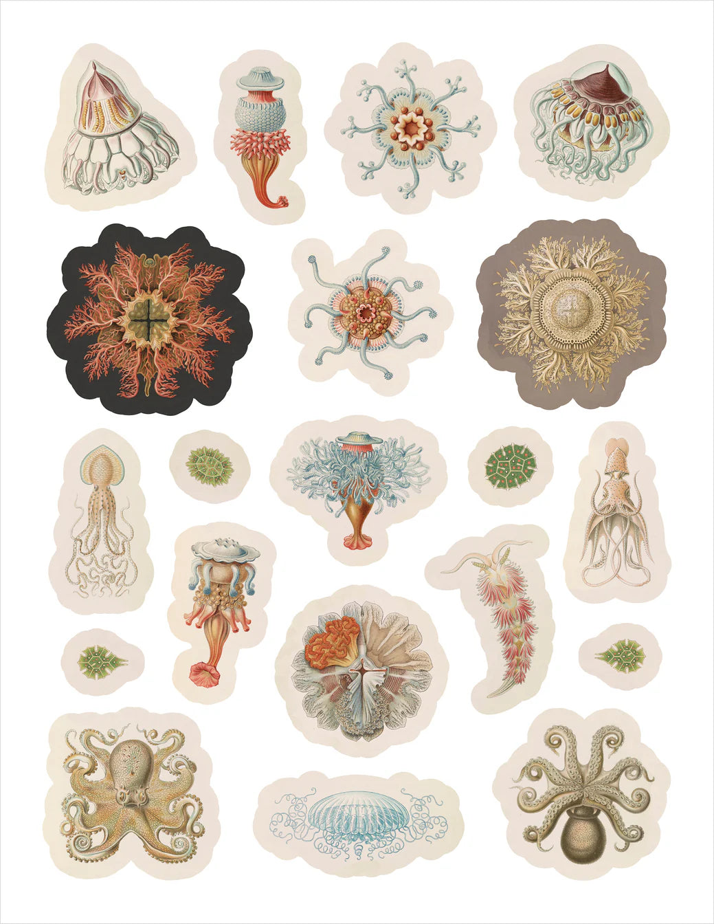 ERNST HAEKEL: ART FORMS IN NATURE STICKER BOOK