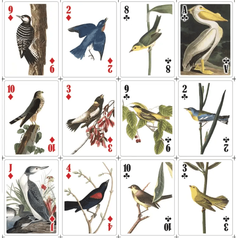 3D BIRD PLAYING CARDS