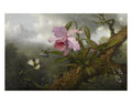 CATTLEYA ORCHID PRINT