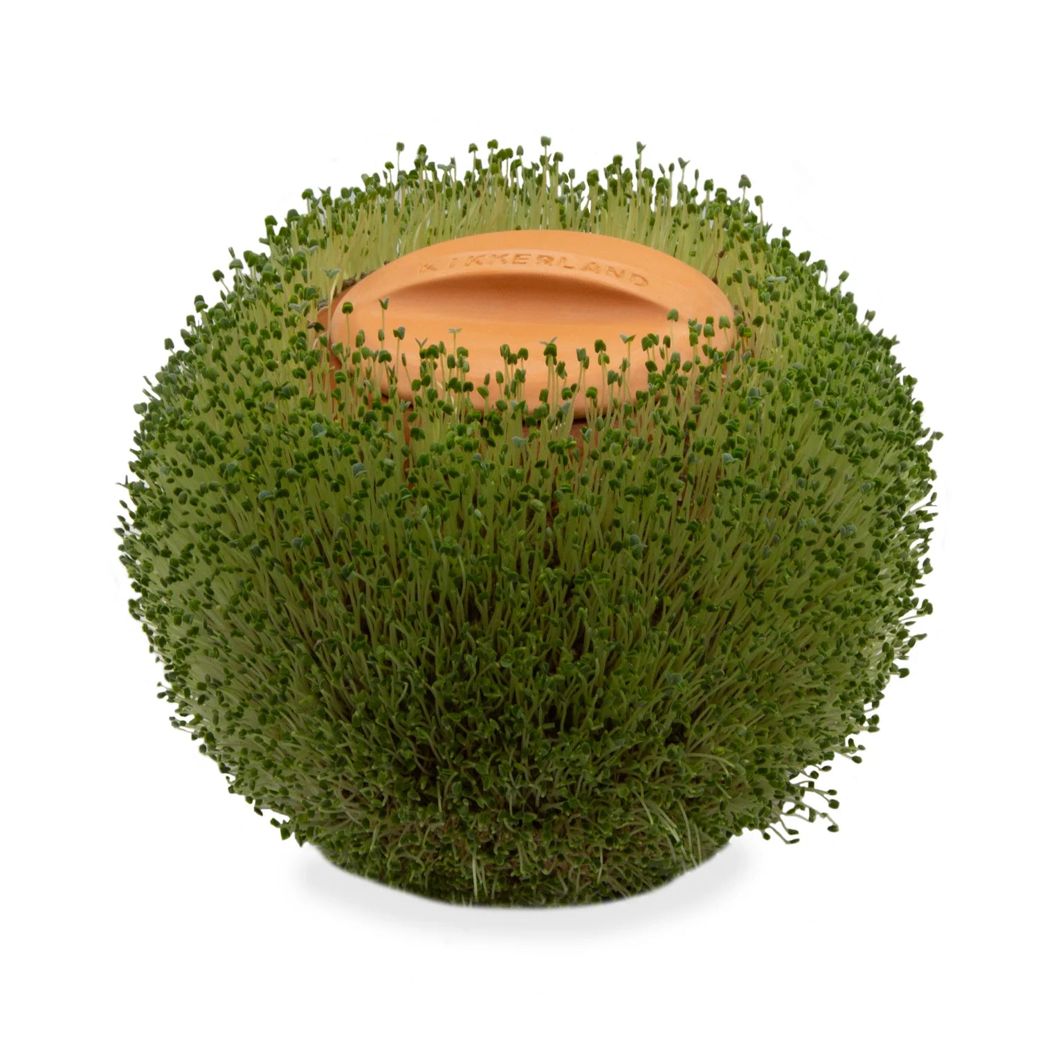 GREEN ORB PLANTER