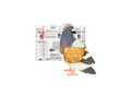 MESSENGER PIGEON CARD