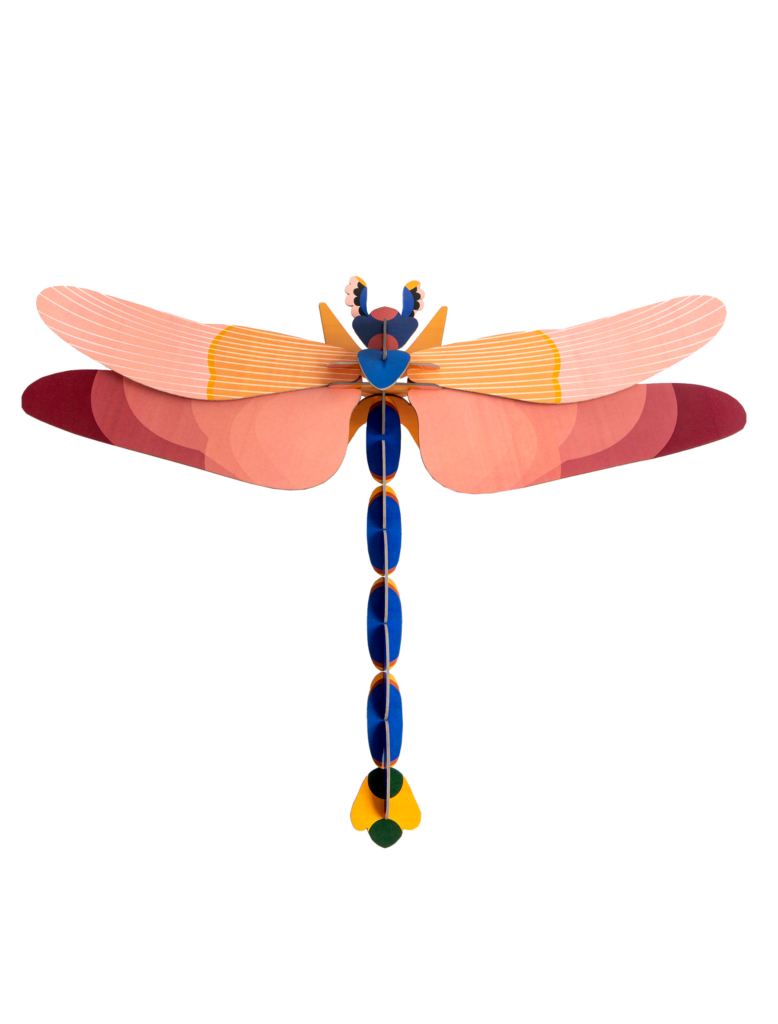 PINK DRAGONFLY
