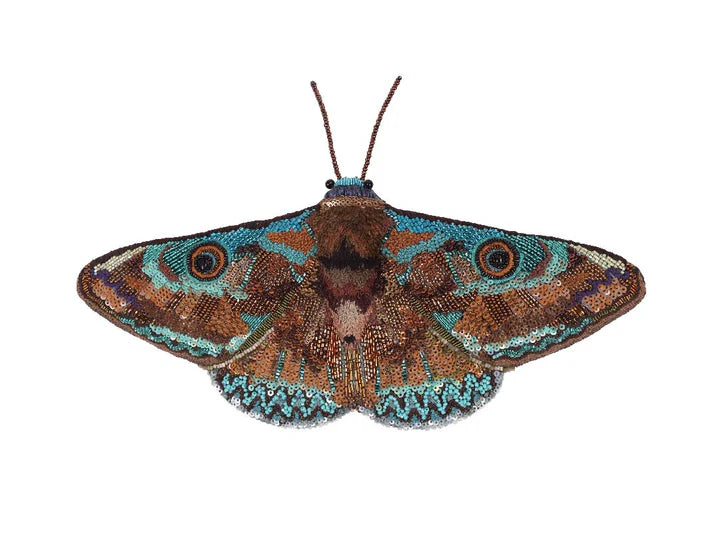 DONUCA MOTH OBJECT ART