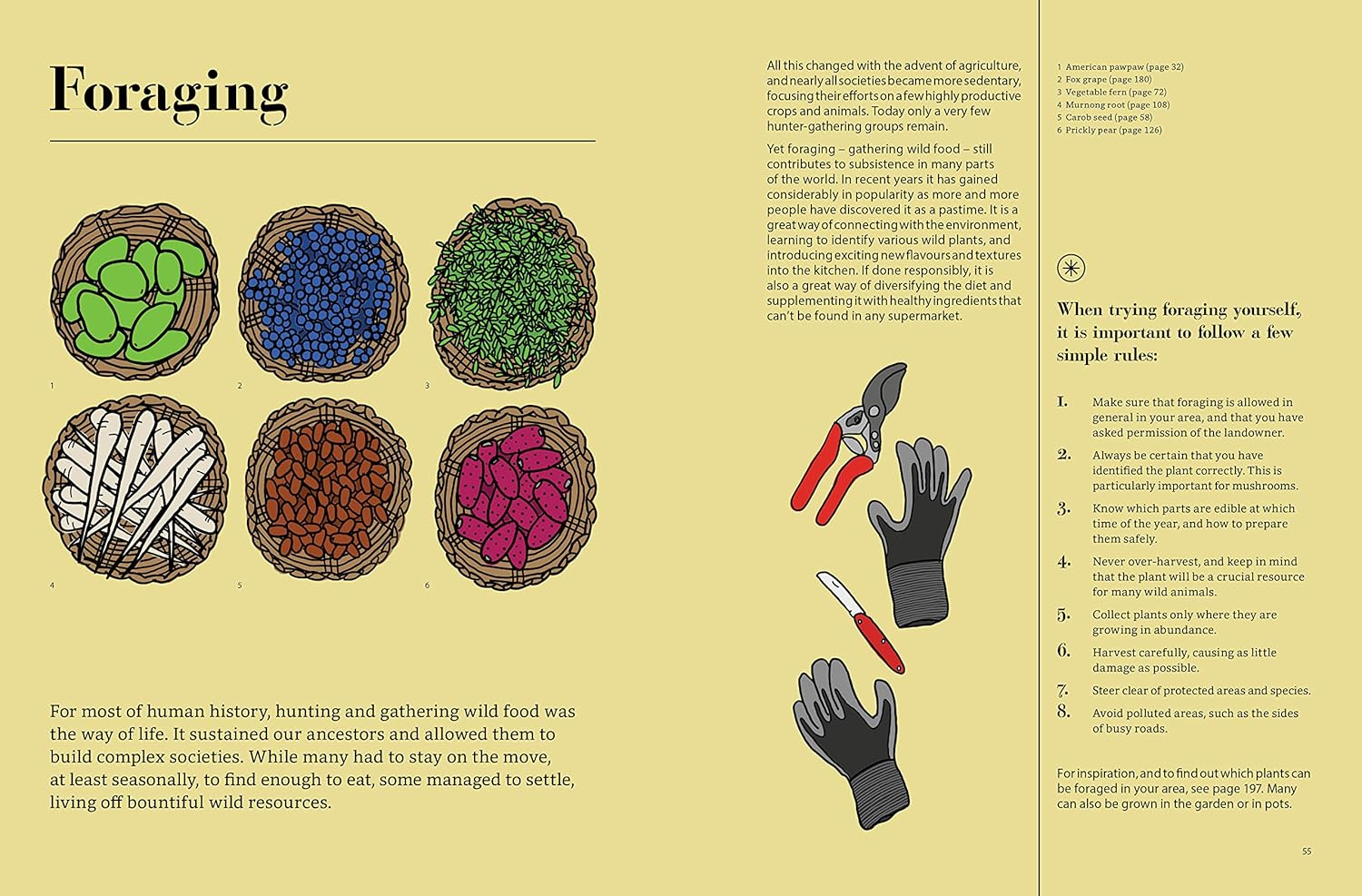 EDIBLE: 70 SUSTAINABLE PLANTS