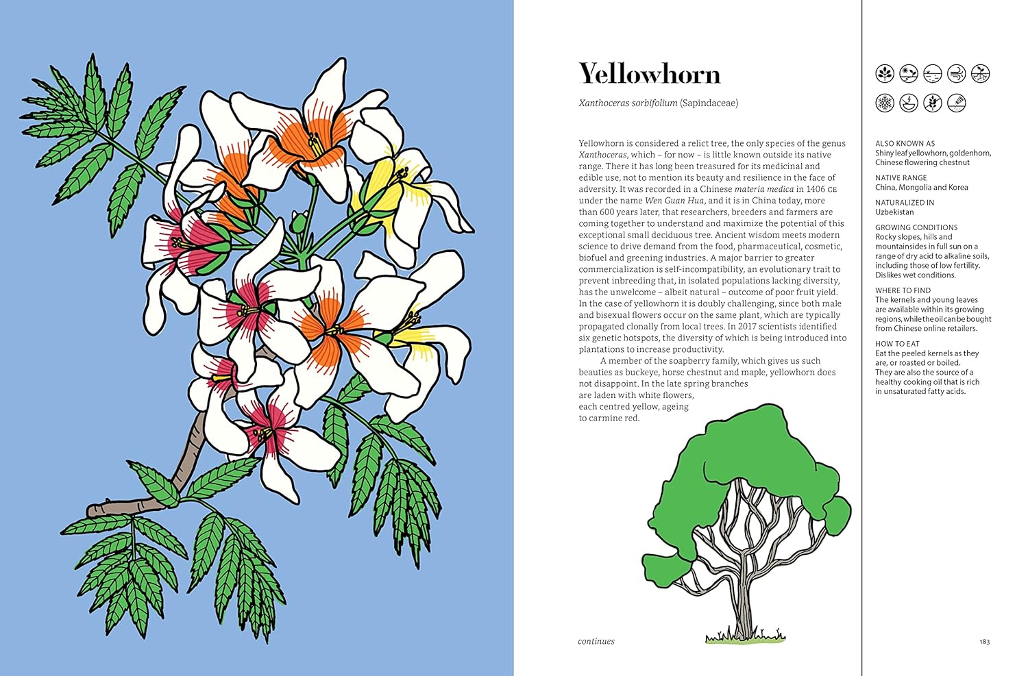 EDIBLE: 70 SUSTAINABLE PLANTS