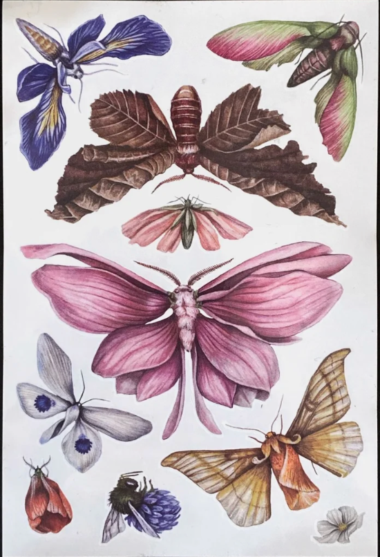 FLORAFLIES SHEET TATTOO