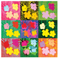 FLOWERS STICKER SHEET
