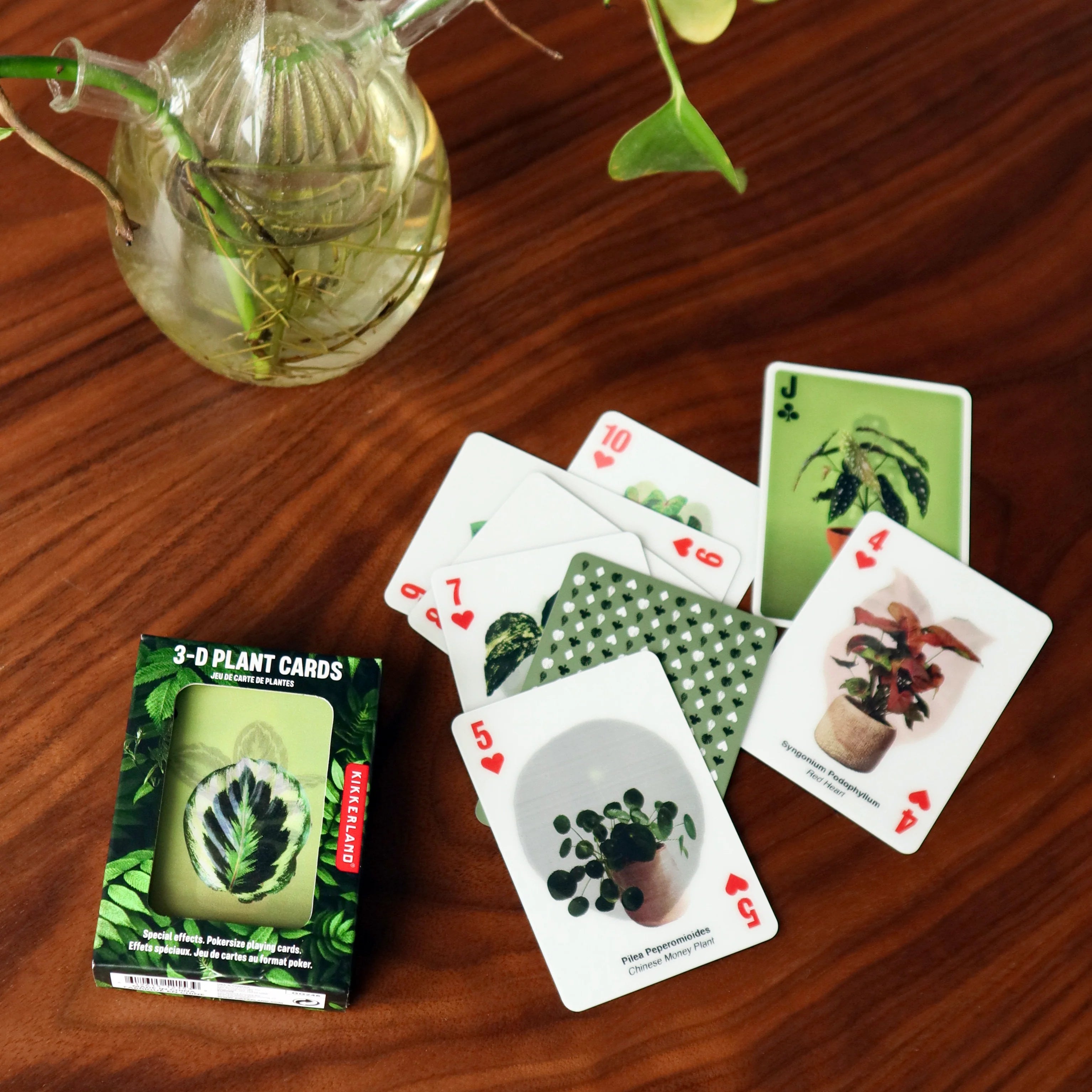 3-D PLANT CARDS