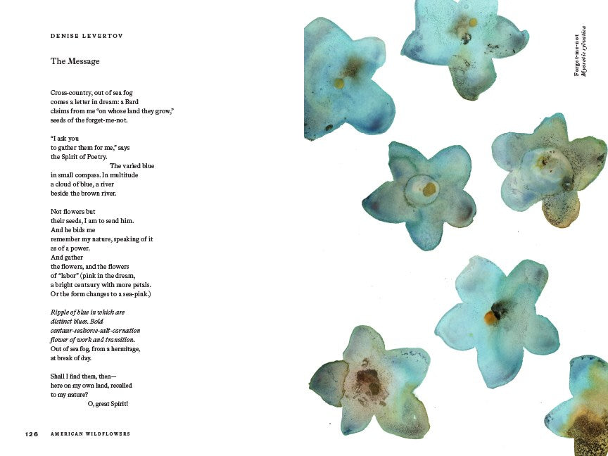 AMERICAN WILDFLOWERS: A LITERARY FIELD GUIDE