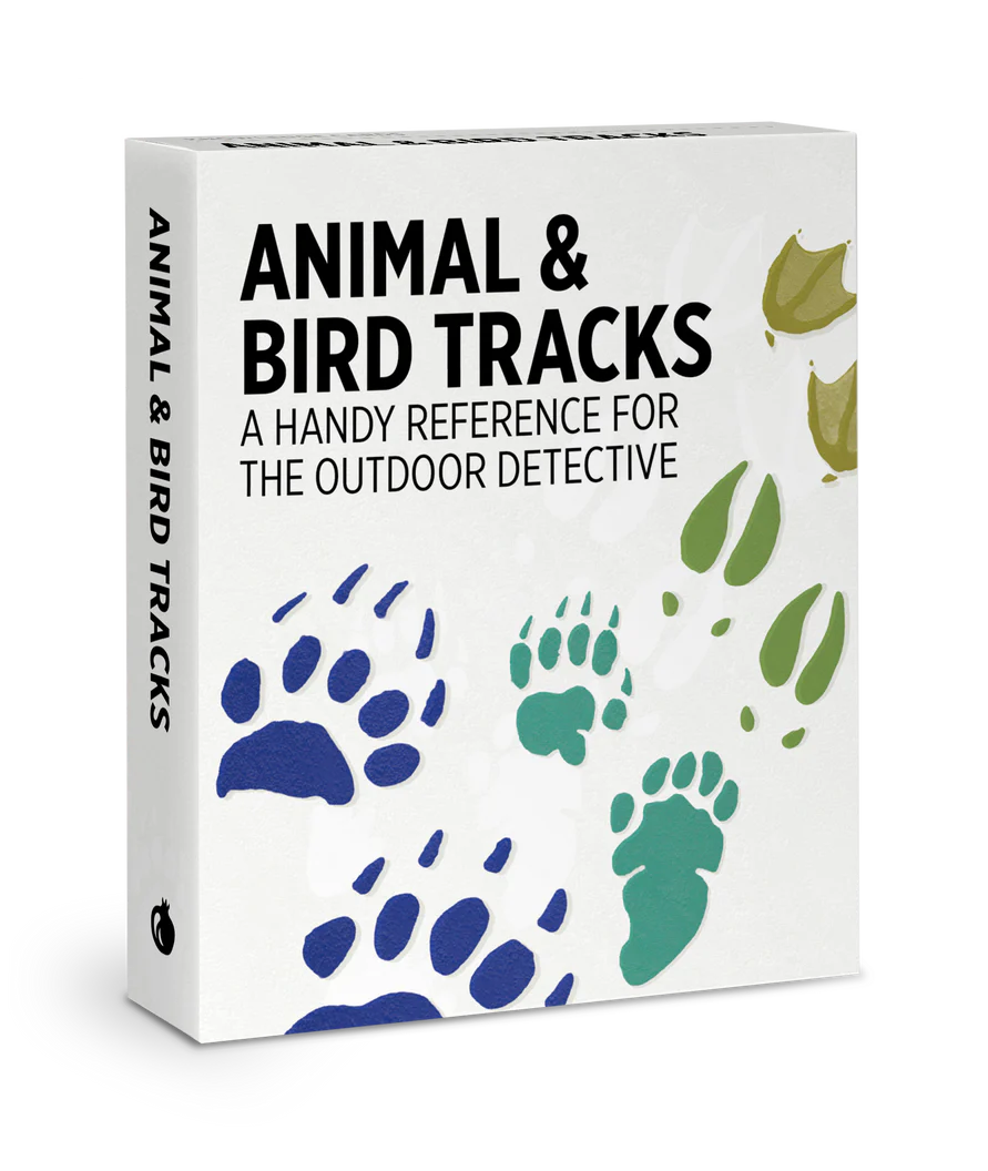 ANIMAL & BIRD TRACKS KNOWLEDGE CARDS