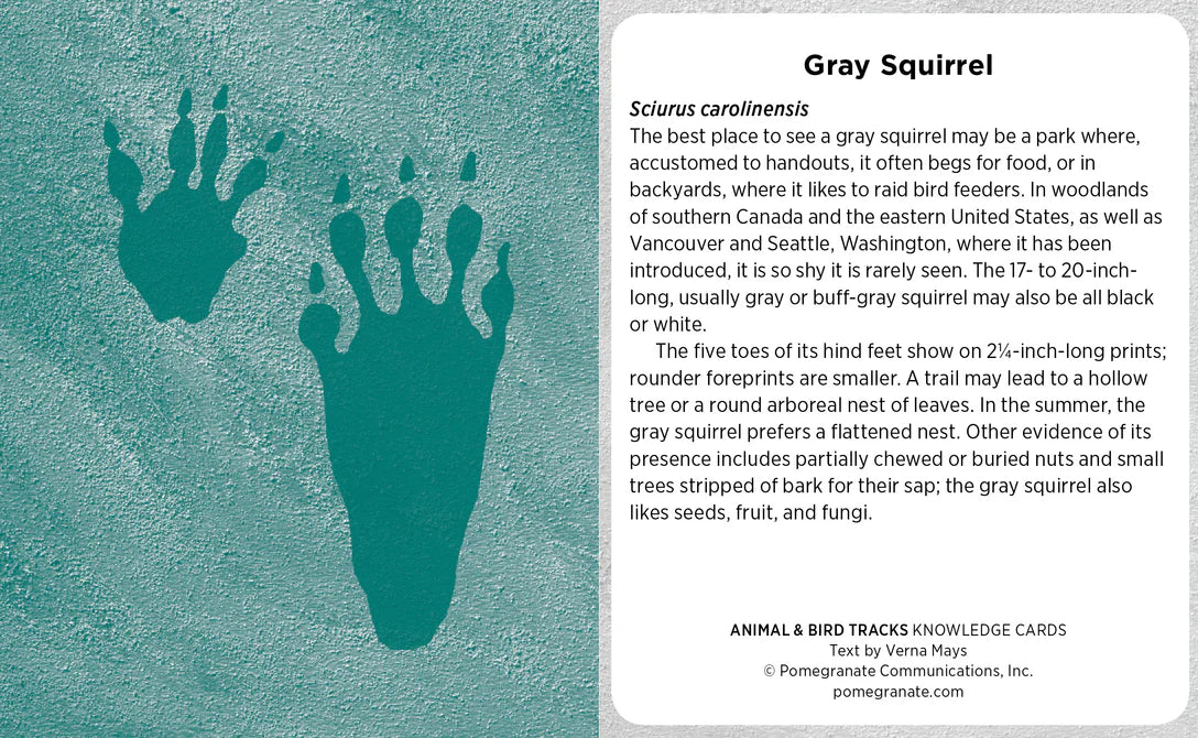 ANIMAL & BIRD TRACKS KNOWLEDGE CARDS