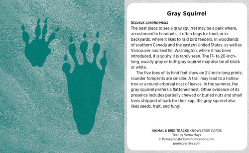 ANIMAL & BIRD TRACKS KNOWLEDGE CARDS