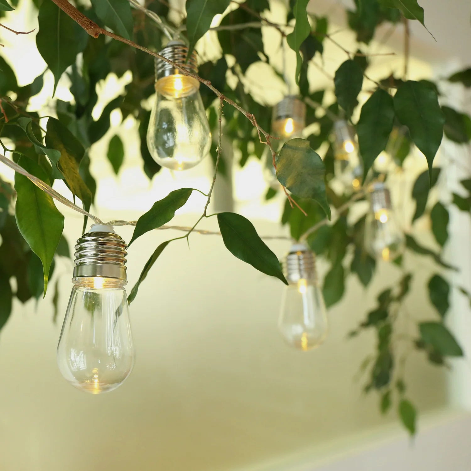 EDISON BULB STRING LIGHTS