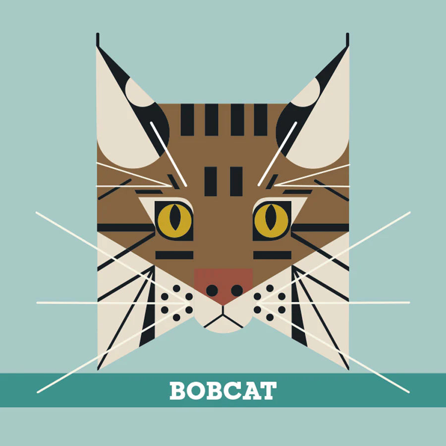 CHARLEY HARPER'S ANIMALS MEMORY GAME