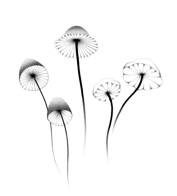 MUSHROOMS TATTOO PAIR