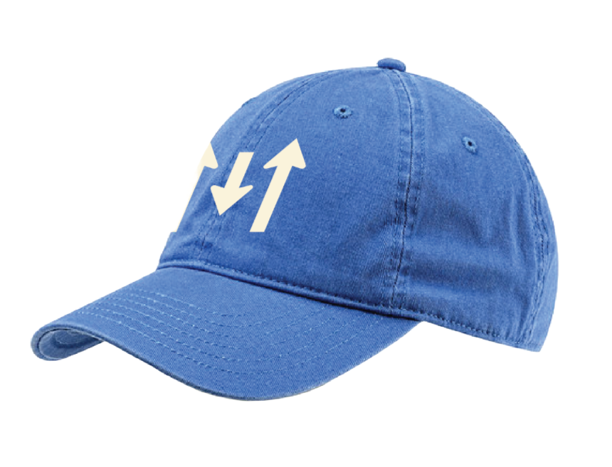 THE MOMENTARY LOGO DAD CAP