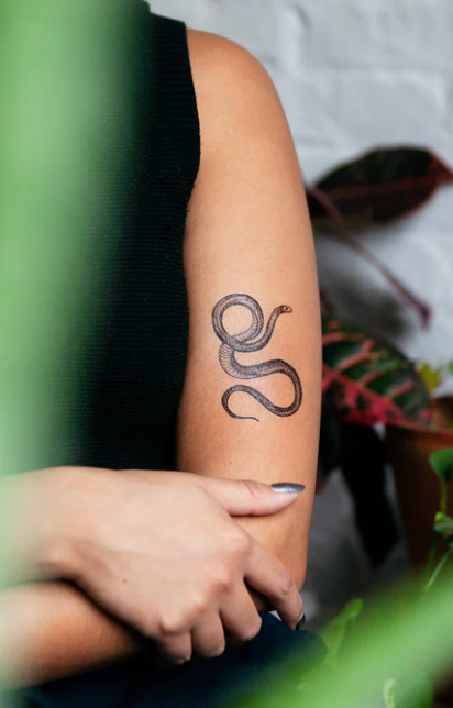 SERPENT TATTOO PAIR