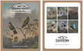 MARTIN JOHNSON HEADE 6PK NOTECARD