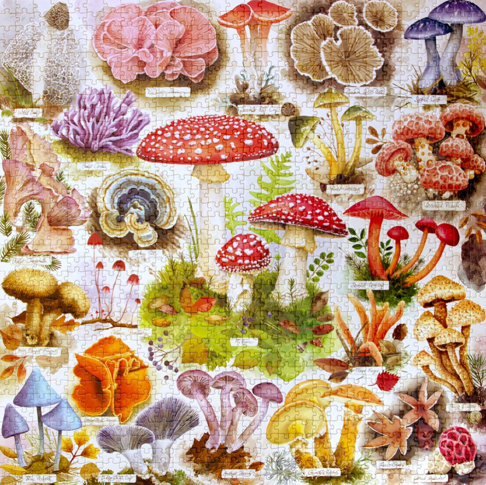BOUNTIFUL MUSHROOMS PUZZLE (1000 PIECES)