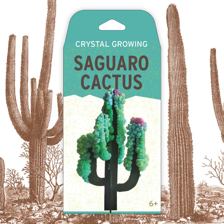 SAGUARO GROWING CACTUS