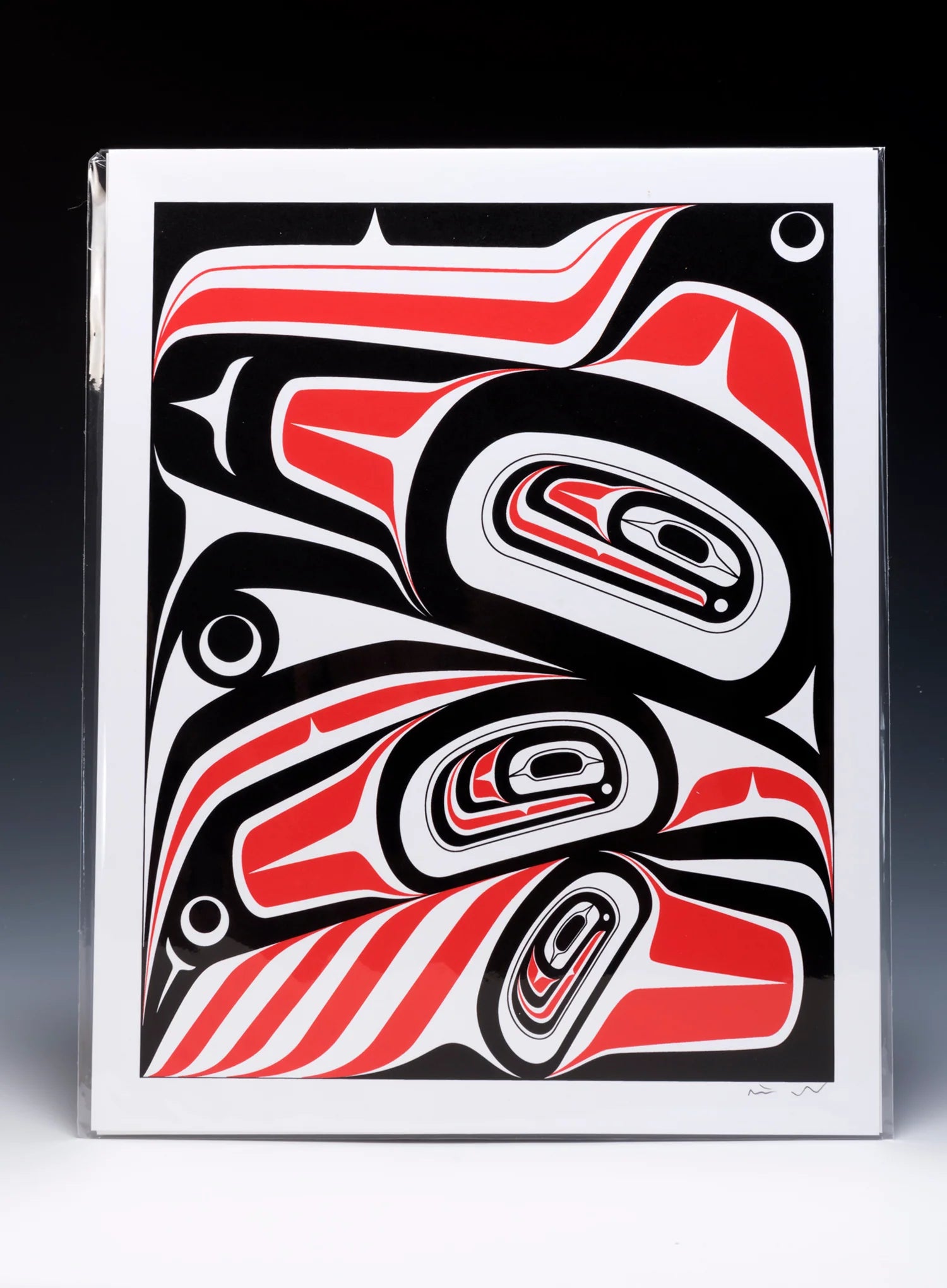 TRANSFORMING RAVEN SERIGRAPH