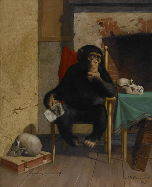 IT IS VERY QUEER, ISN'T IT POSTCARD