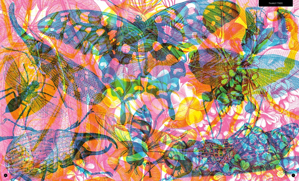 ILLUMIBUGS