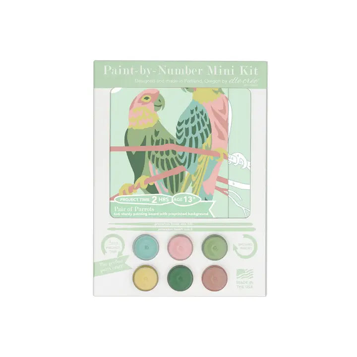PAIR OF PARROTS MINI PAINT-BY-NUMBER KIT