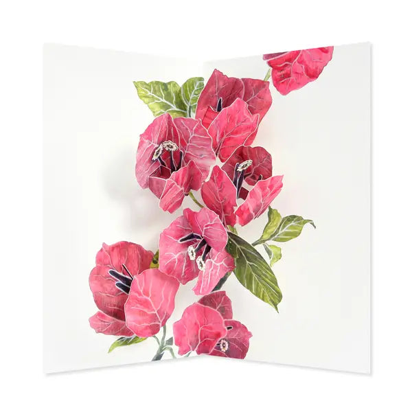 BOUGAINVILLEA EVERYDAY POP-UP CARD