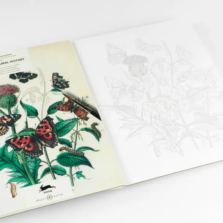 NATURAL HISTORY ARTISTS' COLORING BOOK