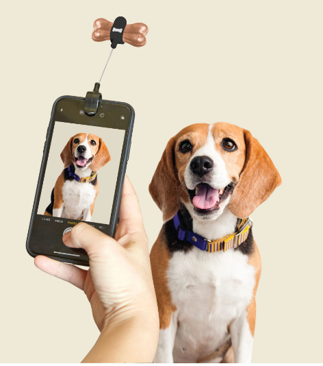 DOG TREAT SELFIE CLIP