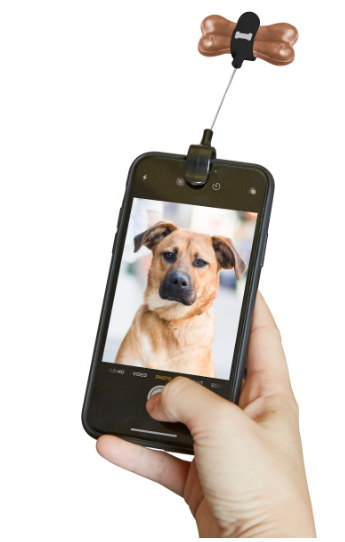 DOG TREAT SELFIE CLIP
