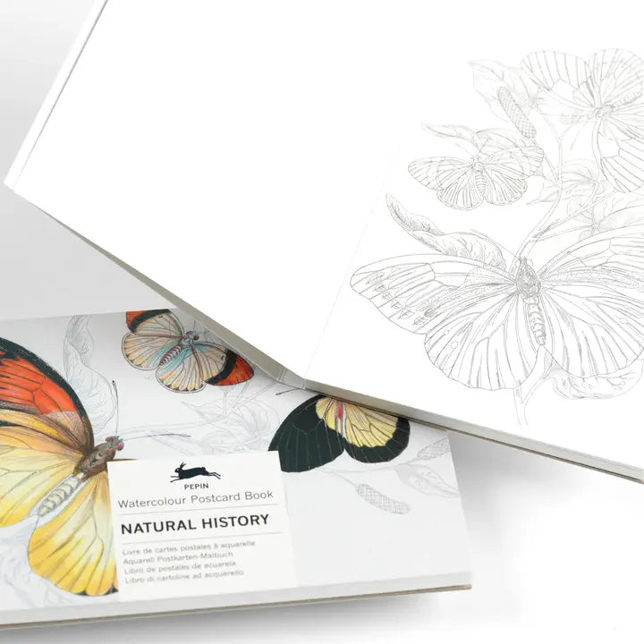 NATURAL HISTORY WATERCOLOR POSTCARD BOOK