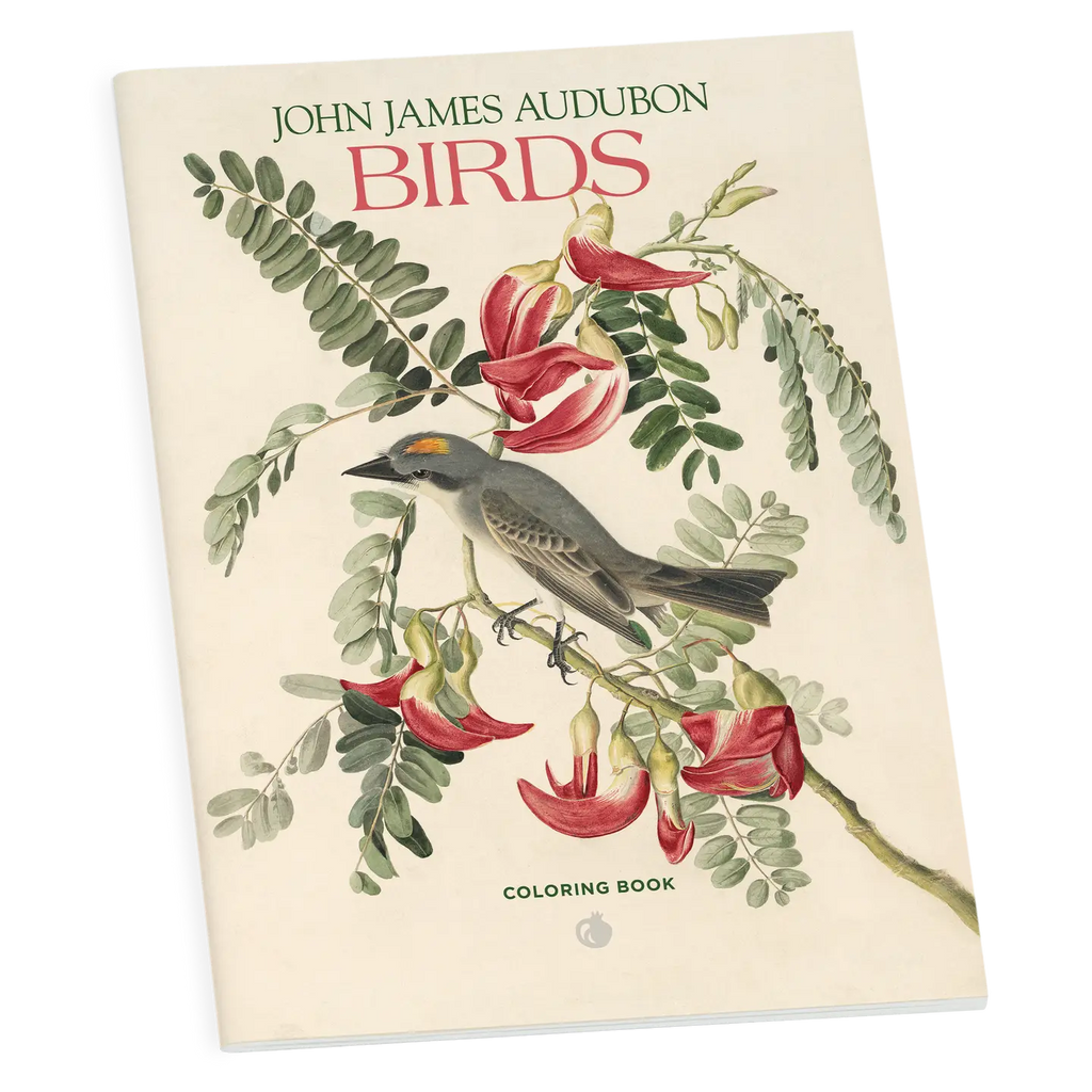 JOHN JAMES AUDUBON BIRDS: COLORING BOOK