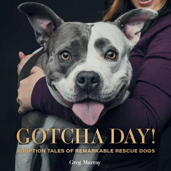 GOTCHA DAY!