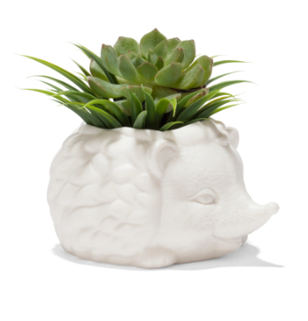 PRICKLES THE HEDGEHOG PLANTER
