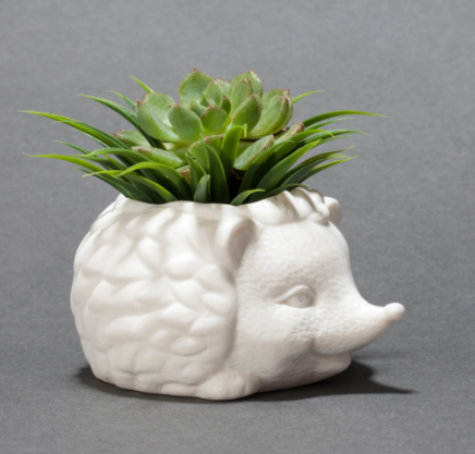 PRICKLES THE HEDGEHOG PLANTER
