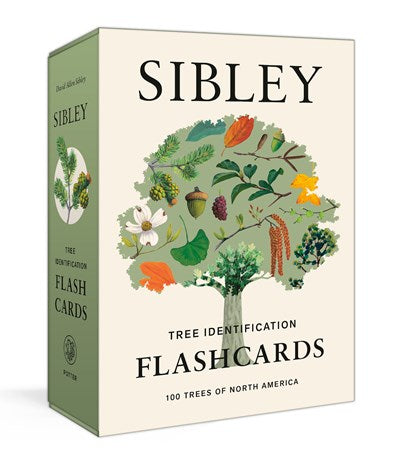 SIBLEY TREE IDENTIFICATION FLASHCARDS