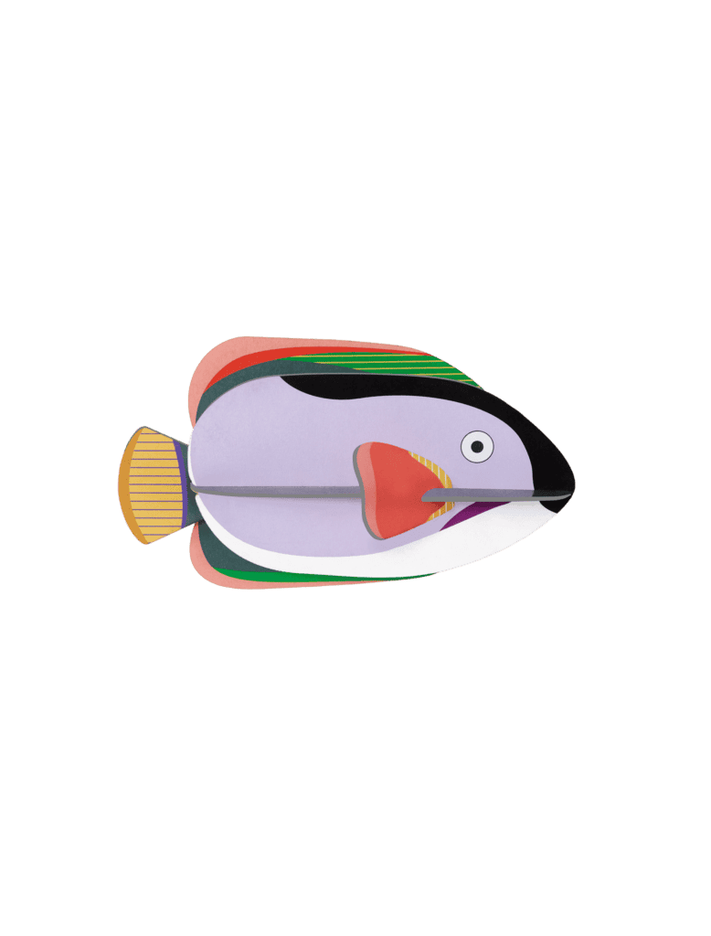 KING ANGELFISH