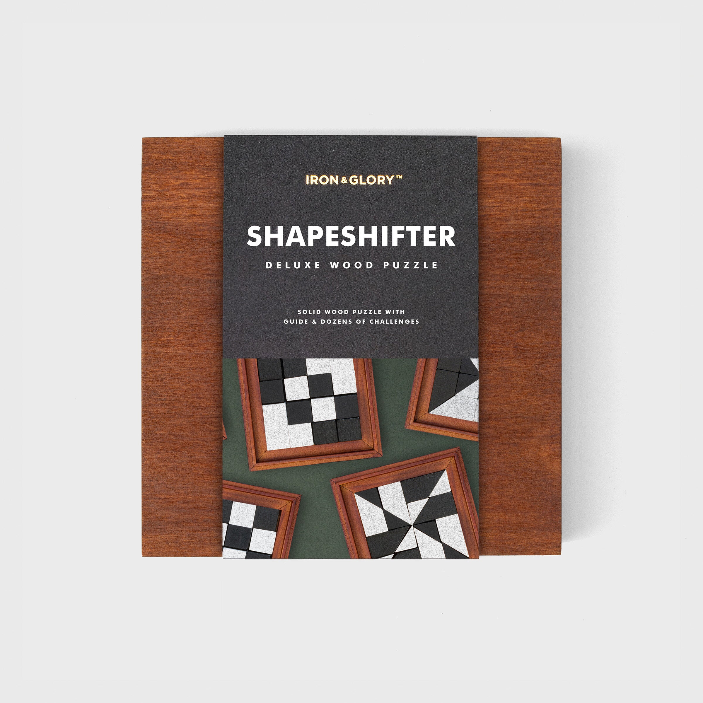 SHAPESHIFTER PUZZLE GAME