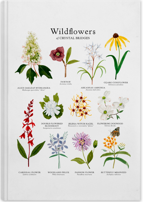 WILDFLOWERS OF CRYSTAL BRIDGES NOTEBOOK